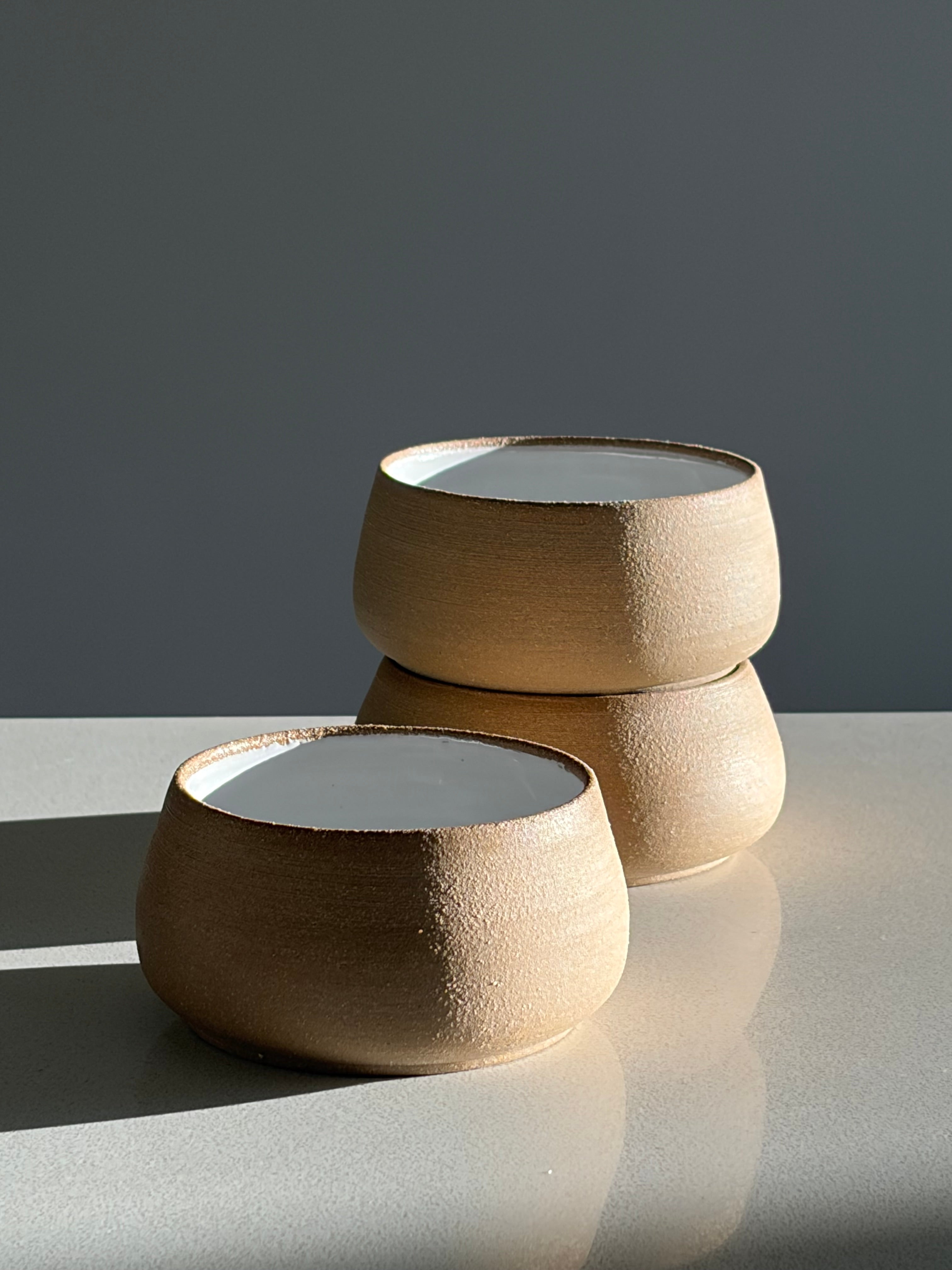 Coconut bowls