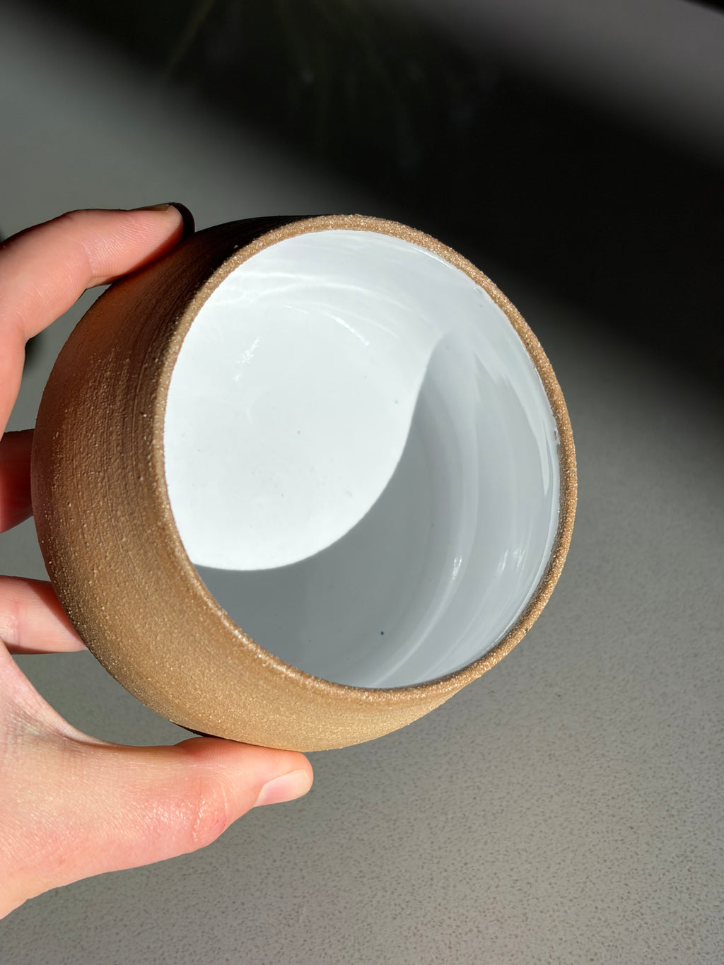 Coconut bowls