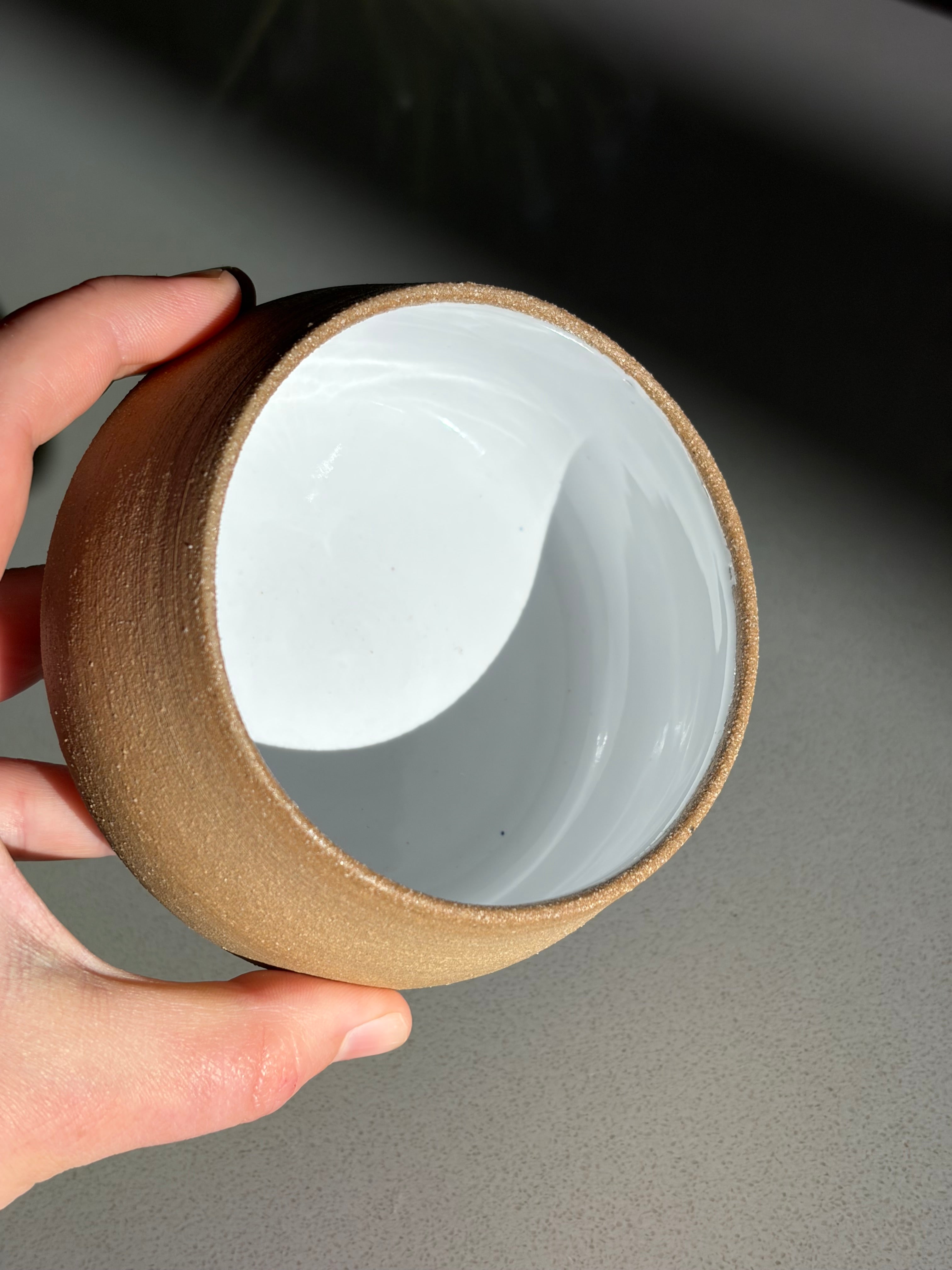 Coconut bowls