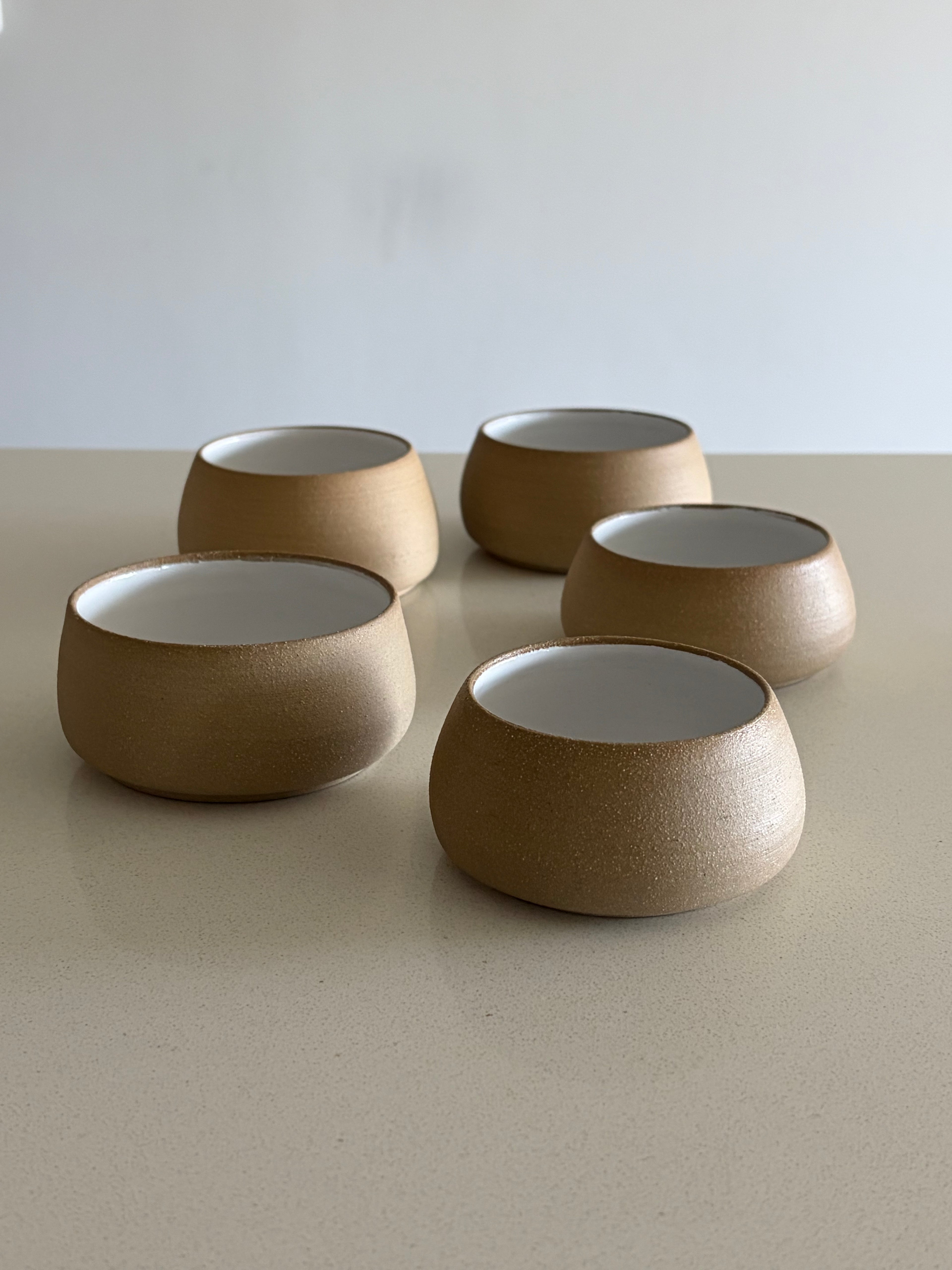 Coconut bowls