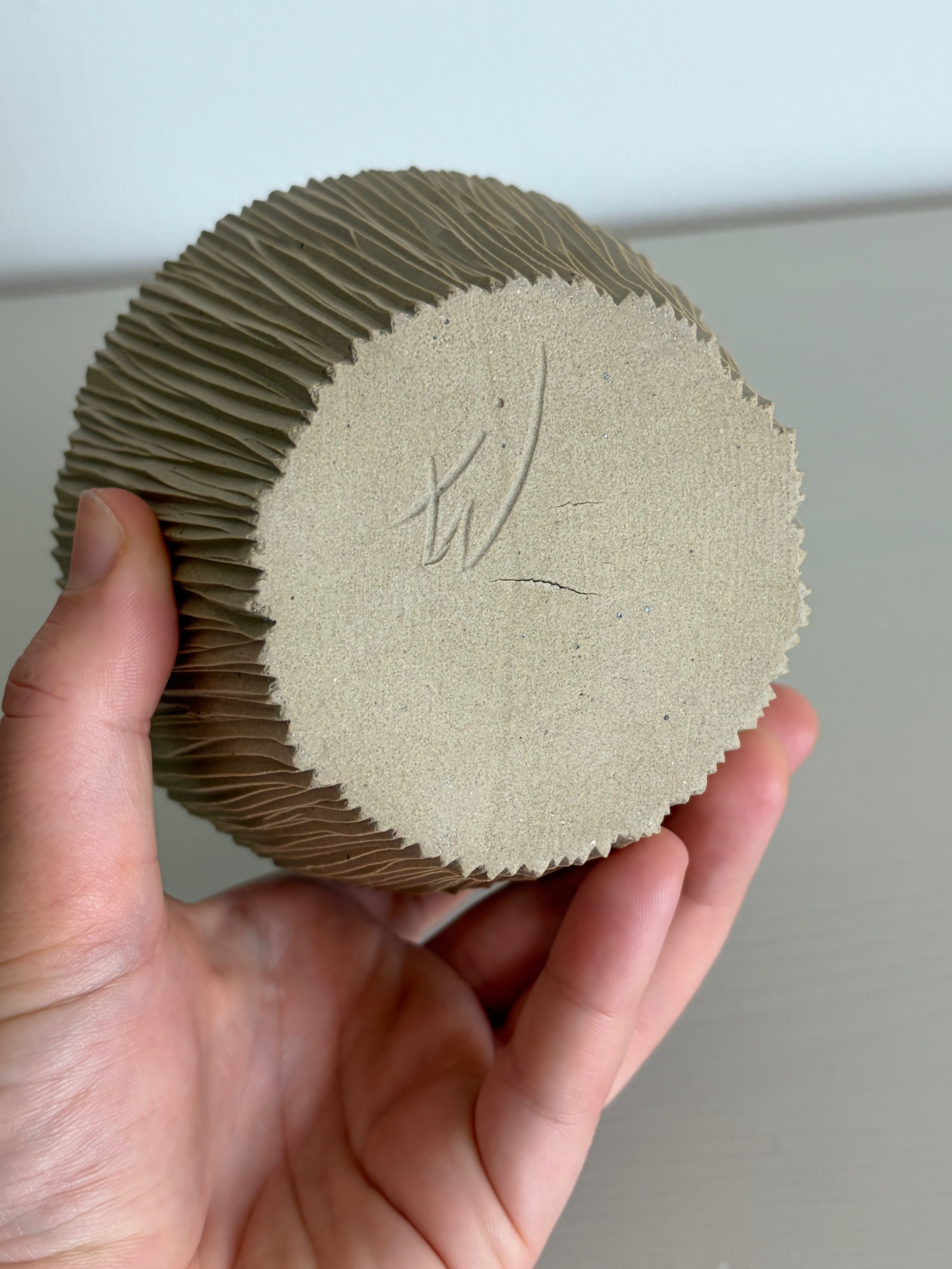 Squat seedpod vase