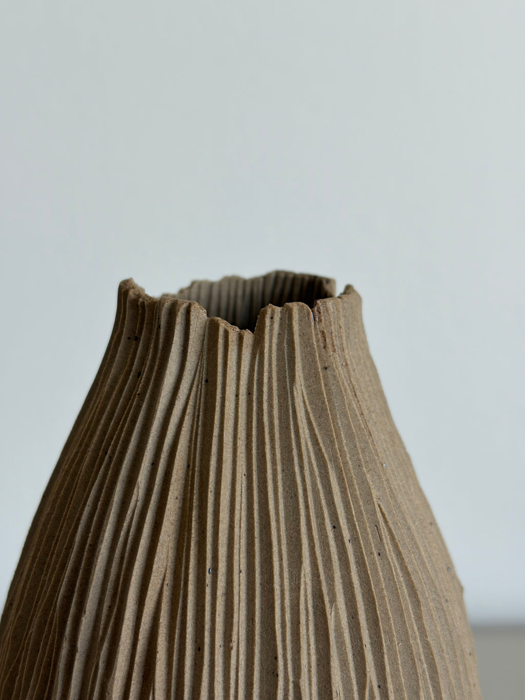 Slender tall seedpod vase