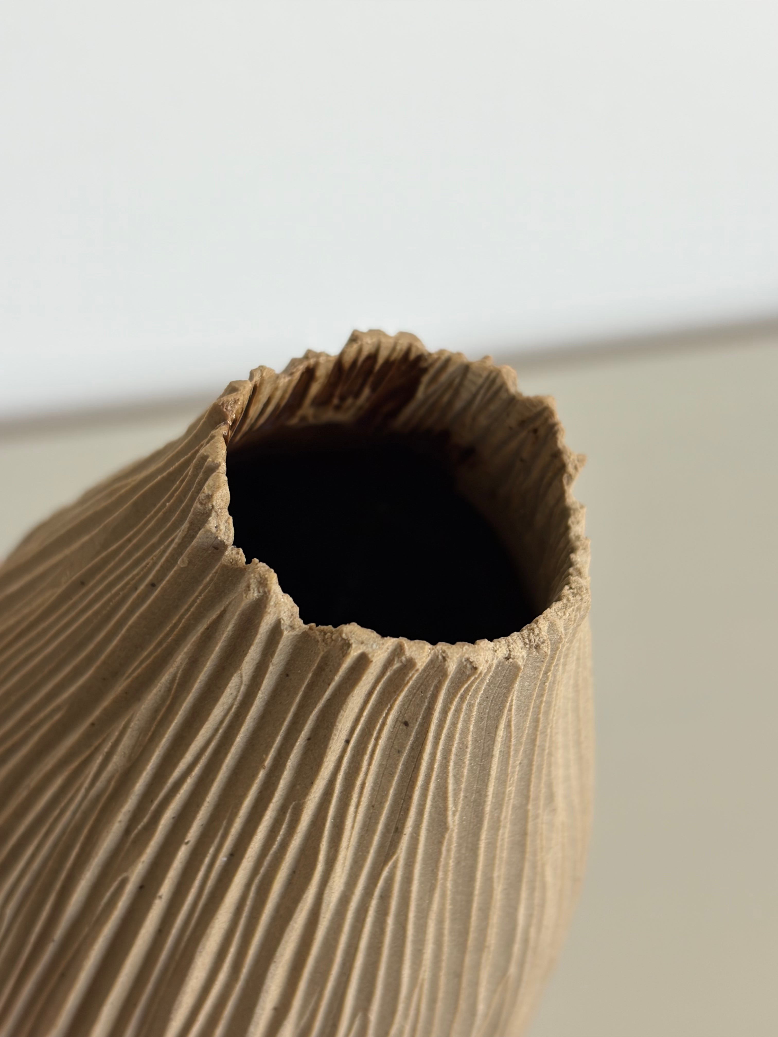 Slender tall seedpod vase