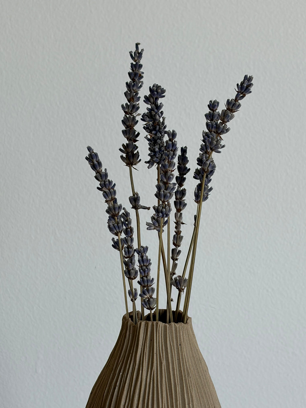 Slender tall seedpod vase