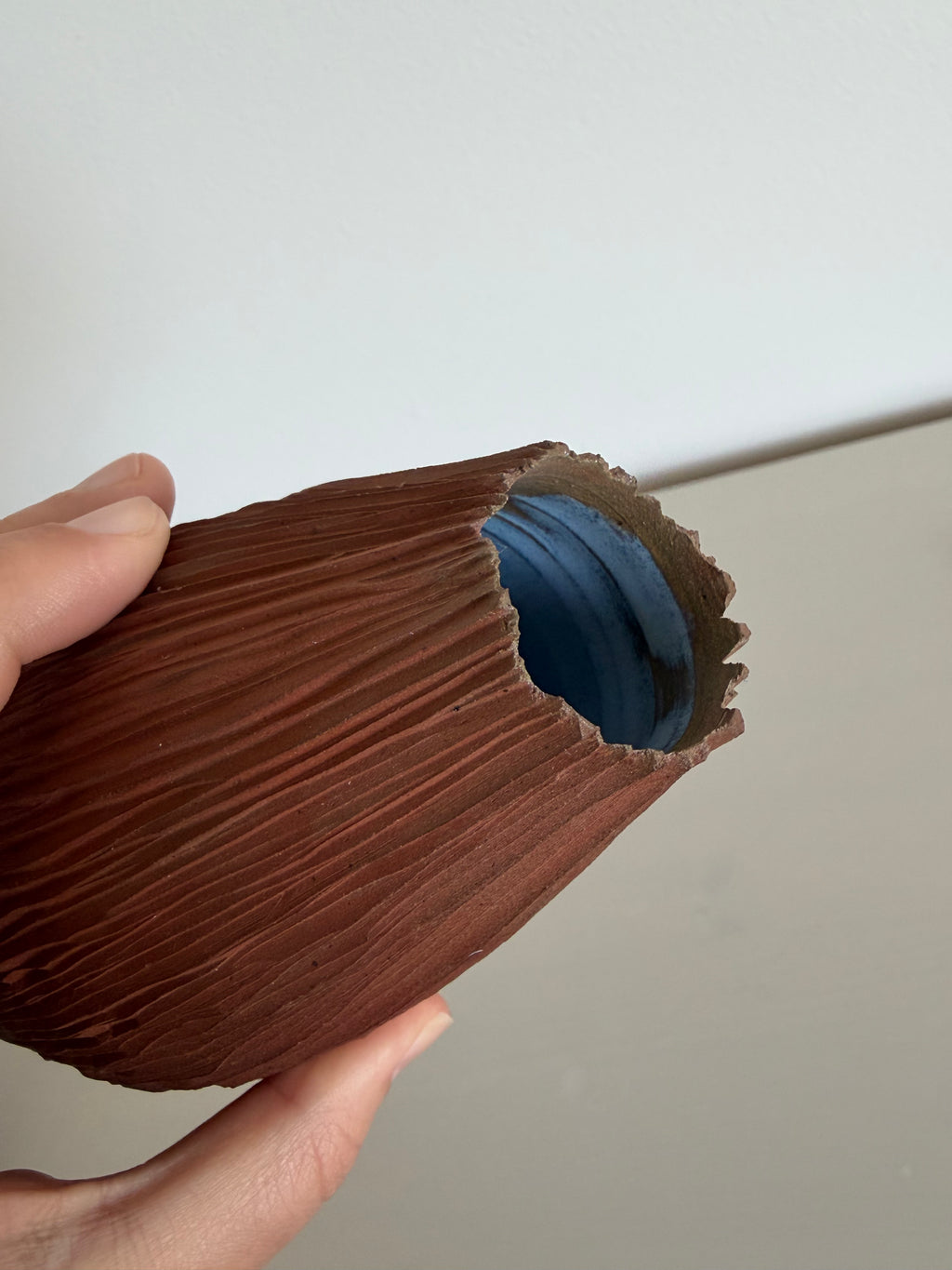 Red seedpod vase