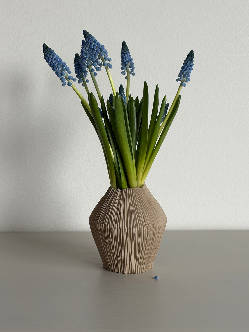 Squat seedpod vase
