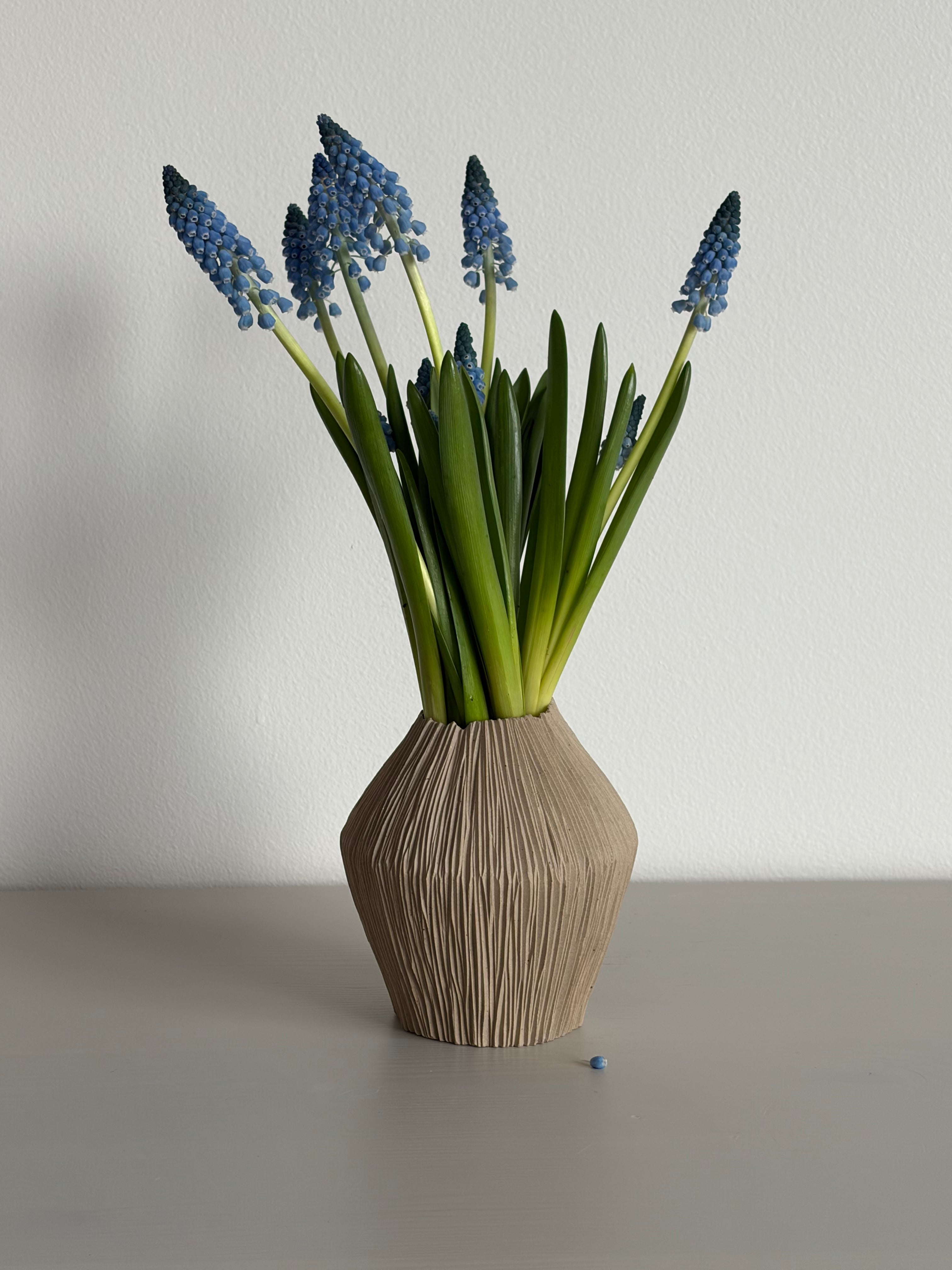 Squat seedpod vase