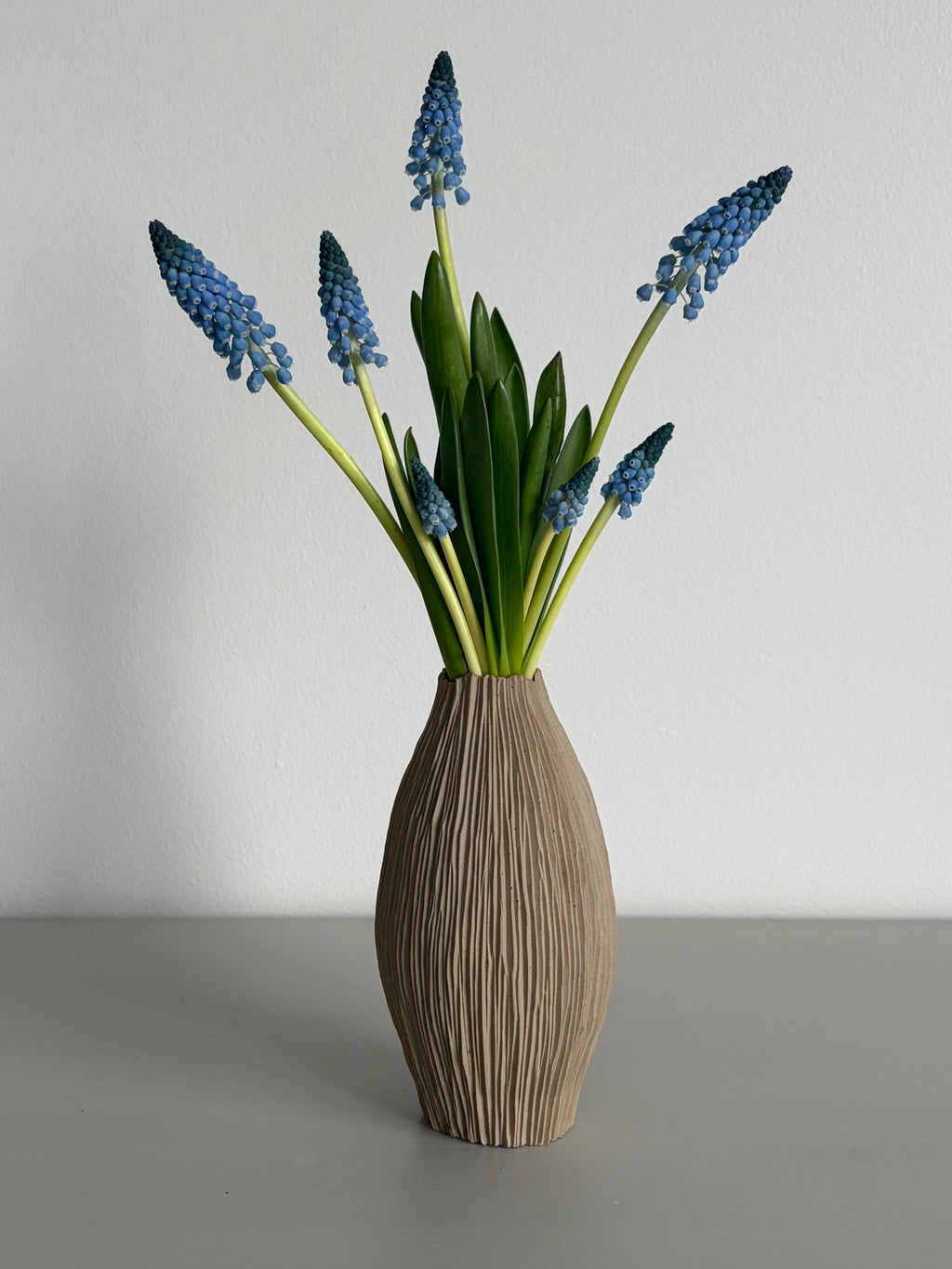 Slender tall seedpod vase