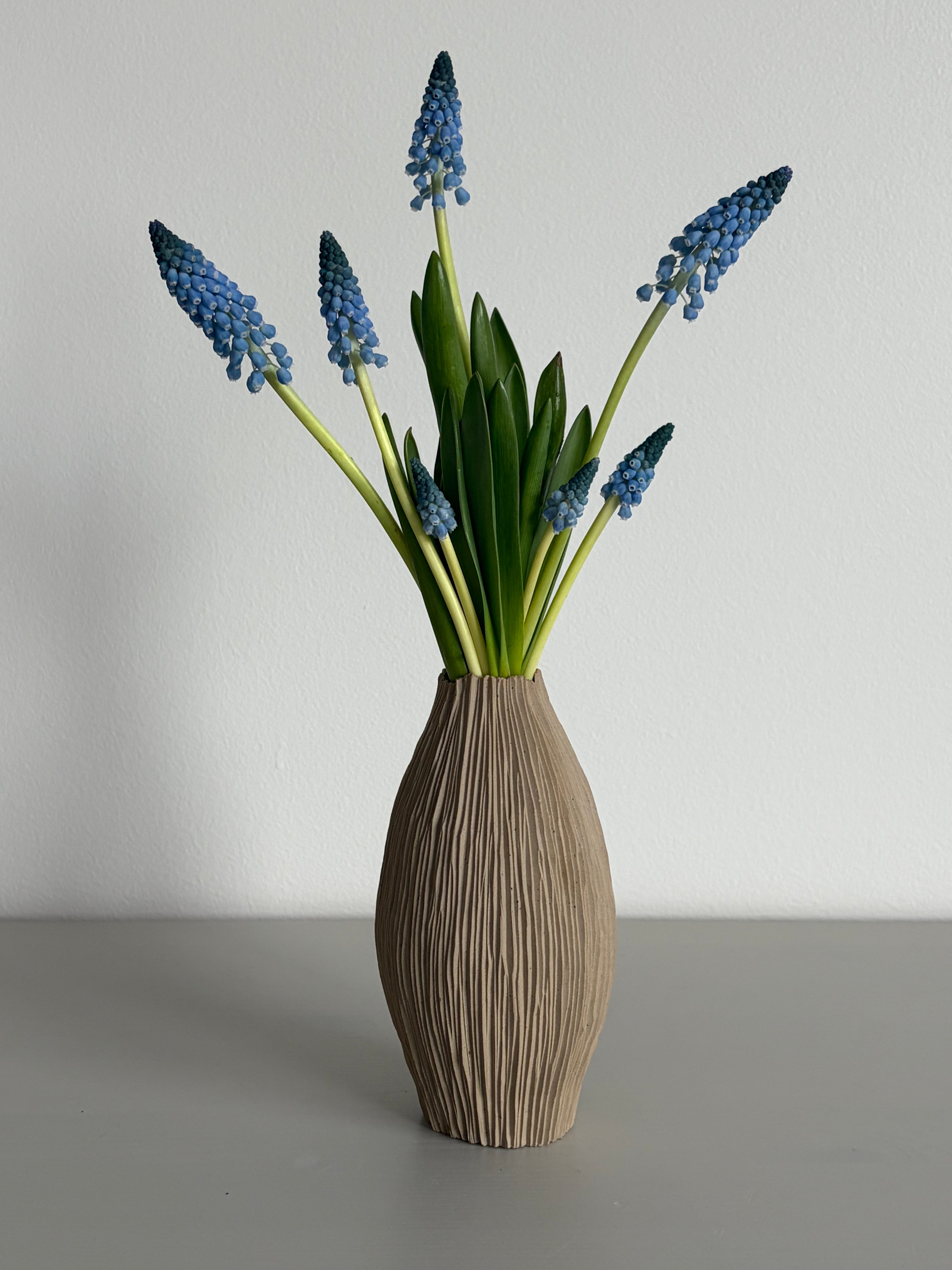 Slender tall seedpod vase